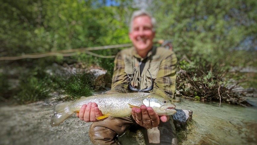 marble trout s.